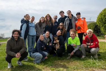 Copertina di BSV incontra Pelosi Della Bassa